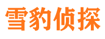 涪城侦探公司